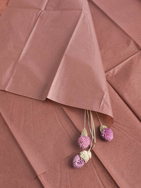 Бумага тишью шоколадная, 50х66 см, 10 листов